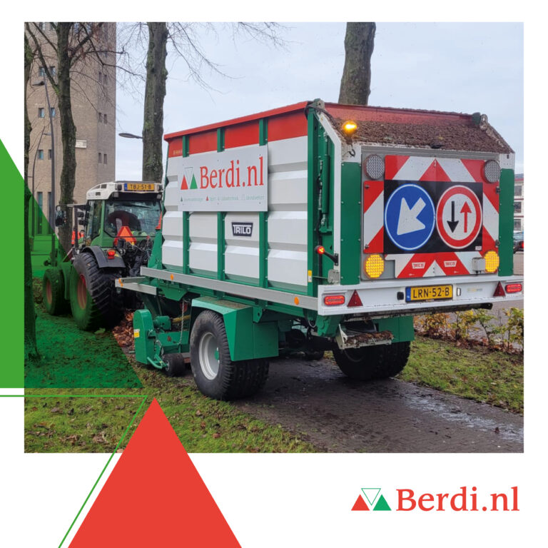 Berdi